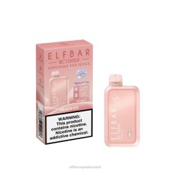 ELFBAR BC10000 engangs vape | 6T6D294 Elf Bar Smage fersken is