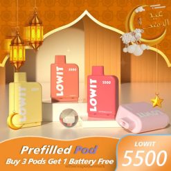 ELFBAR LOWIT 5500 forfyldt pod | 6T6D374 Elf Bar Smage blåbæris