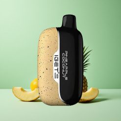 IGET Moon K5000 Puffs Ananas Kokos 81,5 g Mesh Coil Denmark wholesalers