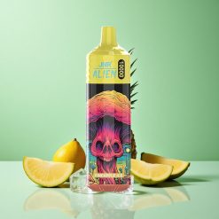 JNR Alien 10000 Puffs Ananas Is 20ml E-væske Type-C Hurtigoplading Denmark wholesalers