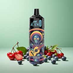 JNR Alien 10000 Puffs Blåbær Kirsebær Tranebær 20ml E-væske Type-C Hurtigopladning Denmark wholesalers