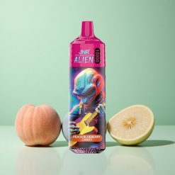 JNR Alien 10000 Puffs Fersken Blåbær Slik 20ml E-væske Type-C Hurtigopladning Denmark wholesalers