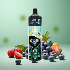 JNR Alien Max 18000 Puffs Blåbær Hindbær Smart LED-skærm Type-C Hurtigopladning Denmark wholesalers