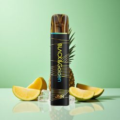 JNR Black&Golden 600+200 Puffs Ananas Is 550mAh Batterikapacitet 2ml E-Væskekapacitet Denmark wholesalers