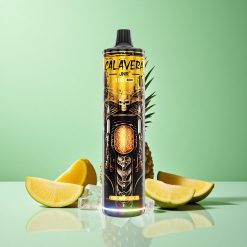 JNR Calavera 11000 Puffs Ananas Is 850 mAh Batteri 21ml E-Liquid Denmark wholesalers