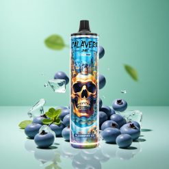 JNR Calavera 11000 Puffs Blåbær Is Type-C Opladning 21ml E-Væske Kapacitet Denmark wholesalers