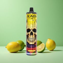 JNR Calavera 11000 Puffs Citron & Lime Type-C Opladning 21ml E-Væske Kapacitet Denmark wholesalers