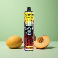 JNR Calavera 11000 Puffs Fersken Mango Type-C opladning 21ml E-Liquid Kapacitet Denmark wholesalers