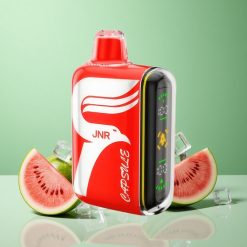 JNR Capsule 15000 Puffs Vandmelon Is 850mAh 20ml Denmark wholesalers