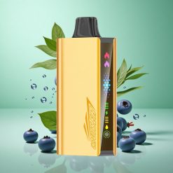 JNR Cruiser 12000 Puffs Blåbær Smag Ingen-Opladning Denmark wholesalers