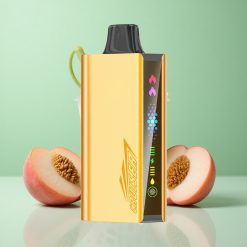 JNR Cruiser 12000 Puffs Fersken Is No-Charge Brug-og-smid-væk E-cigaret Animation Skærm Denmark wholesalers