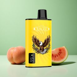 JNR EAGLE Smart 23000 Puffs Fersken Mango Vandmelon Justerbar Luftstrøm Digital Skærm Denmark wholesalers