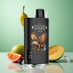 JNR EAGLE Smart 23000 Puffs Sortbær Mango Is med Digital Skærm og Justerbar Luftstrøm Denmark wholesalers