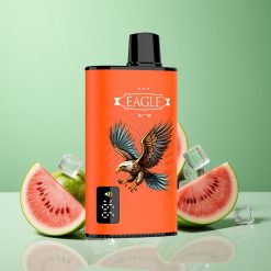 JNR EAGLE Smart 23000 Puffs Vandmelon Is Digital Skærm Justerbar Luftstrøm Denmark wholesalers