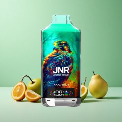 JNR Falcon X 18000 Puffs Cool Mint (Kølig Mynte) 24ml 750mAh Denmark wholesalers