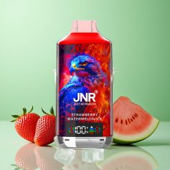 JNR Falcon X 18000 Puffs Jordbær Vandmelon Is Digital Display Type-C Quick Charge Denmark wholesalers