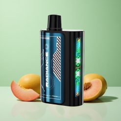 JNR Radiance 31000 Puffs Sommerskovfrugt Is 28ml E-væske Denmark wholesalers