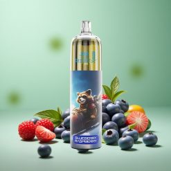 JNR Rocket-X 12400 Puffs Blåbær Hindbær Justerbar Luftgennemstrømning 25ml e-Væske Kapacitet Denmark wholesalers