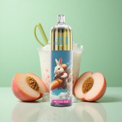 JNR Rocket-X 12400 Puffs Fersken Is Justerbar Luftstrøm 25ml e-Væske Kapacitet Denmark wholesalers