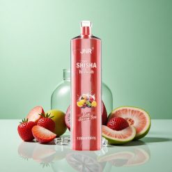 JNR Shisha Hookah 12000 Puffs Bær Is 24ml E-væske Kapacitet Denmark wholesalers