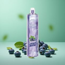 JNR Shisha Hookah 12000 Puffs Blåbær Mynte 24ml E-væske kapacitet Type-C opladning Denmark wholesalers