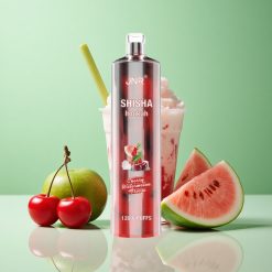 JNR Shisha Hookah 12000 Puffs Kirsebær Vandmelon Frost 24ml 750mAh Denmark wholesalers