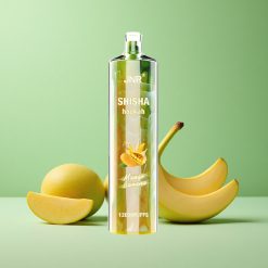 JNR Shisha Hookah 12000 Puffs Mango Banan 750mAh Batterikapacitet Type-C Denmark wholesalers