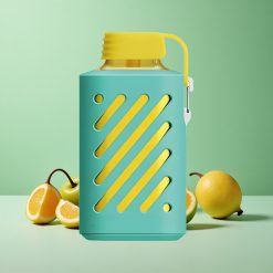 VOZOL GEAR 10000 10000 Puffs 20 ml E-liquid Kapacitet Miami Mynte Denmark wholesalers