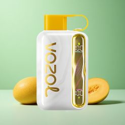 VOZOL STAR 40000 Puffs Mangois Engangs Vape 1000mAh Type-C Denmark wholesalers