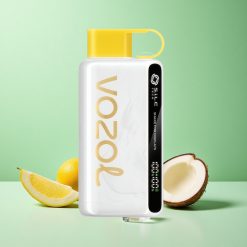 VOZOL STAR 9000/12000 Ananas Kokos Is Ryst for Display Hurtig Opladning Denmark wholesalers