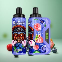 VapSolo VIKING 12000 Puffs Blåbær Hindbær 22ml E-Liquid Type-C Denmark wholesalers