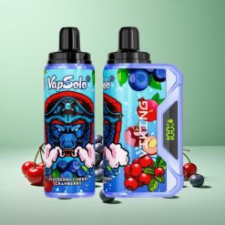 VapSolo VIKING 12000 Puffs Blåbær Kirsebær Tranebær 22ml Type-C Denmark wholesalers