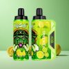 VapSolo VIKING 12000 Puffs E-cigaret Citron Lime 22ml E-væske Denmark wholesalers