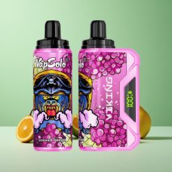 VapSolo VIKING 12000 Puffs Sommer Drøm 22ml E-liquid Denmark wholesalers