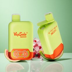 Vapsolo Twins 20000 Puffs Vandmelon Is & Blandet Bær 40 ml E-Væske 20/50mg/ml Nikotin Denmark wholesalers